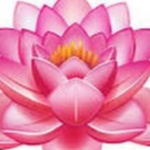 Meet your Posher, Lee